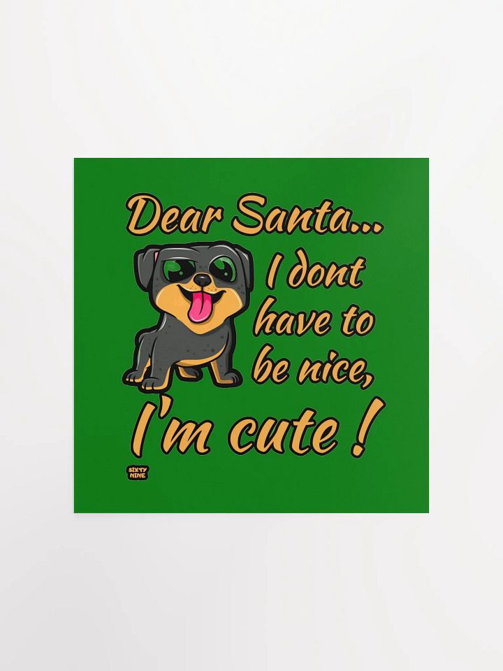 DEAR SANTA, I DON'T HAVE TO BE NICE, I'M CUTE! product image (4)