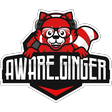 Aware_Ginger