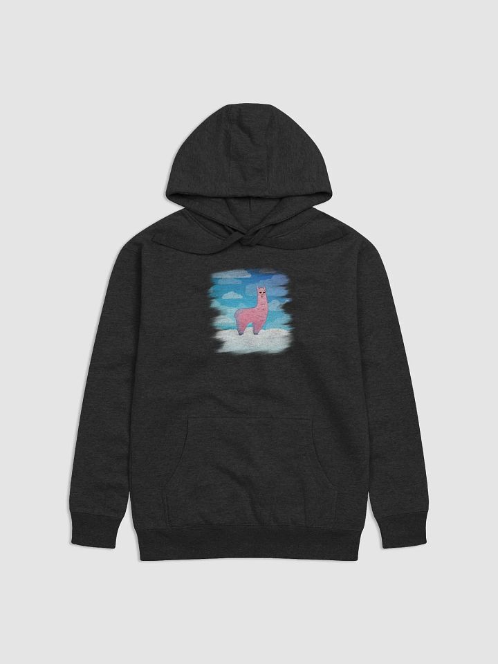 Marble Fest 30 - Hoodie product image (2)