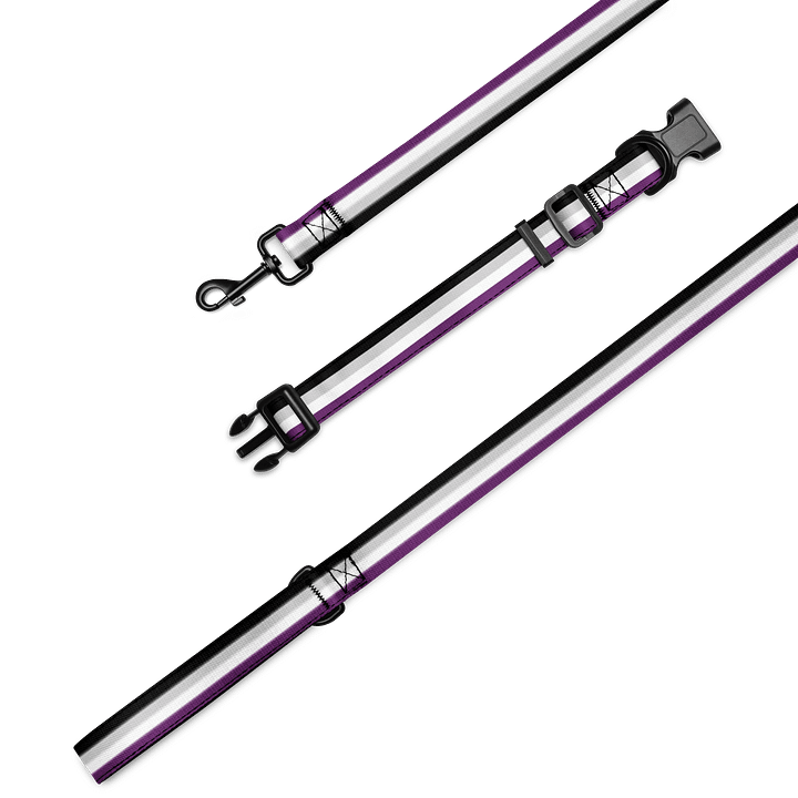 Asexual Pride Flag Pet Collar & Leash product image (1)