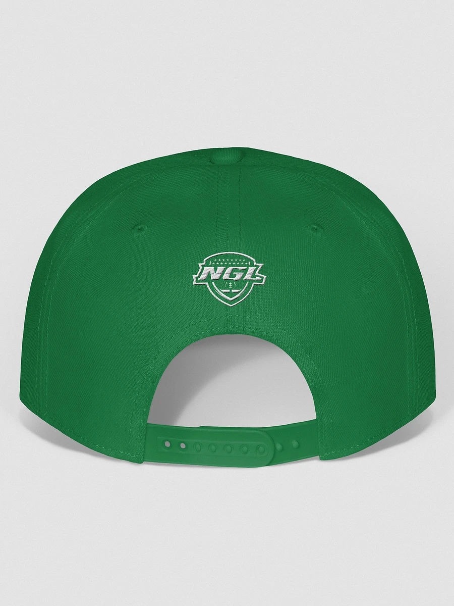 Mississippi Mudcats Chosen Snapback Hat product image (24)