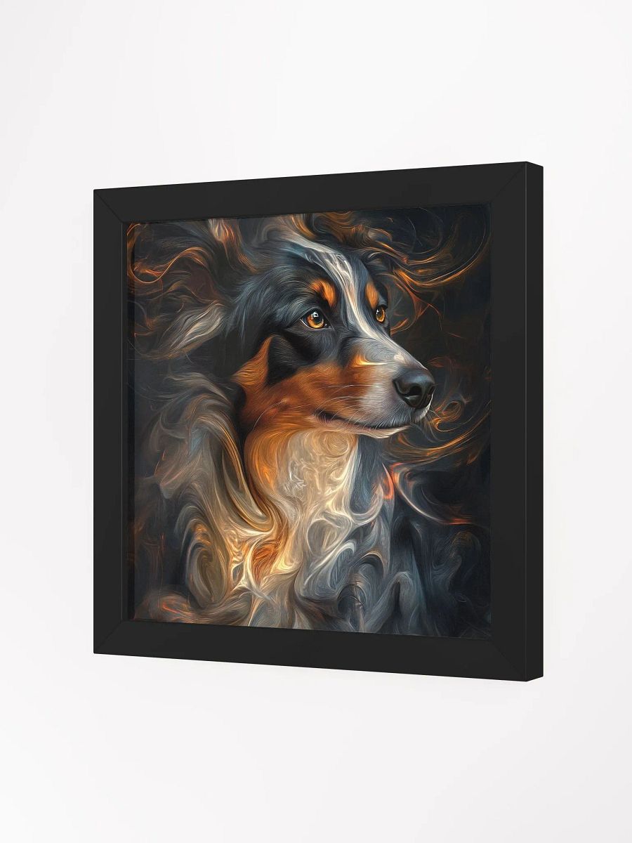 Australský ovčák, vlající product image (17)