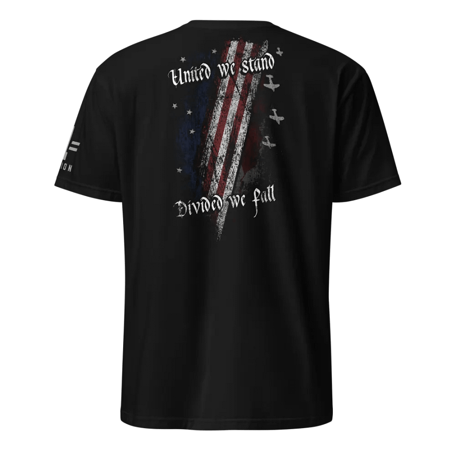 United We Stand, Divided We Fall product image (1)