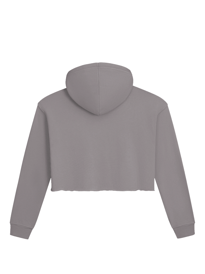 Rad Mom Energy Crop Top Hoodie product image (2)
