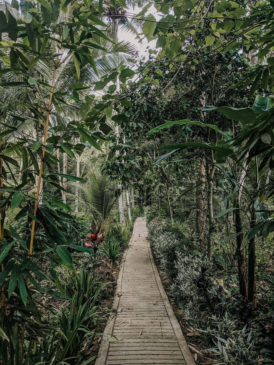 How to spend 36 hours in Bali product image (1)