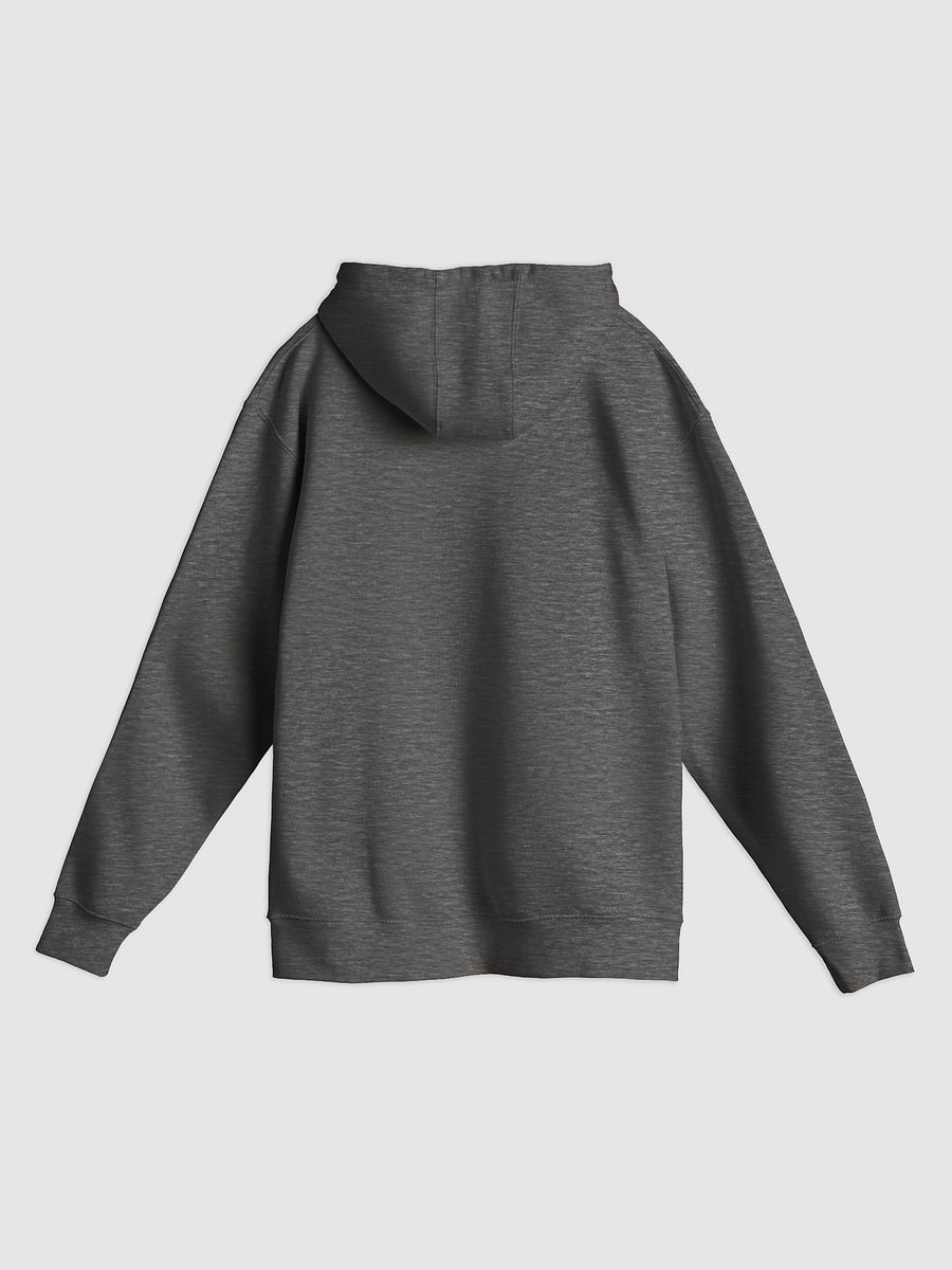 ARTY-RV Chase the Run Premium Hoodie product image (8)