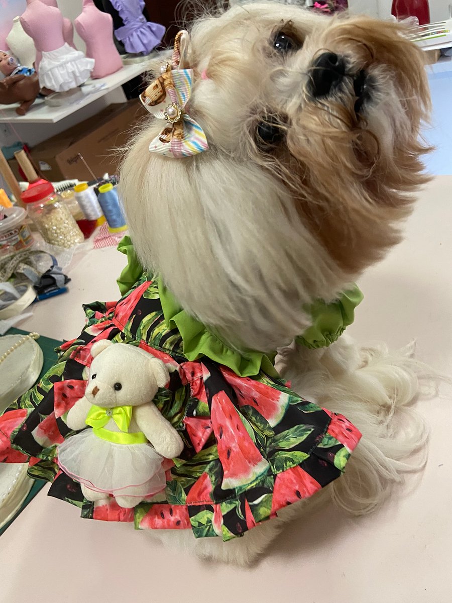 Vestido Encanto Delicado - Modelagem Pet PDF product image (6)