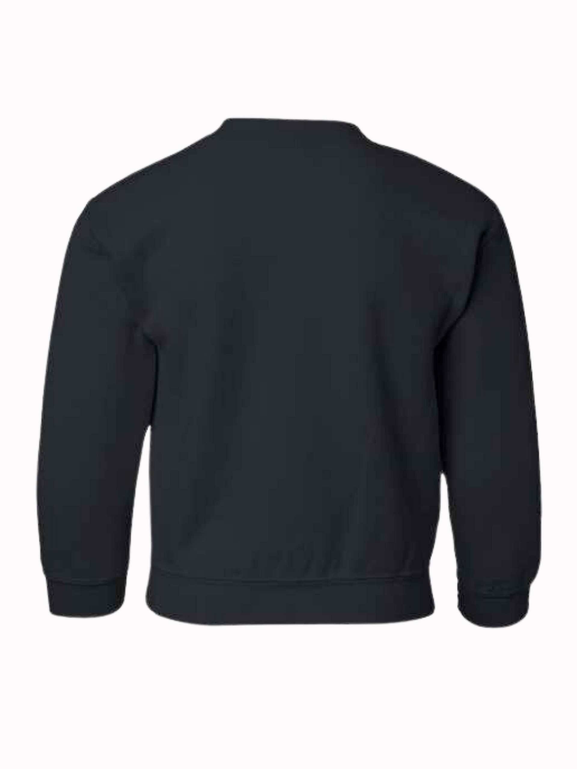 ND Heart Small Pink Youth Unisex Sweatshirt product image (3)