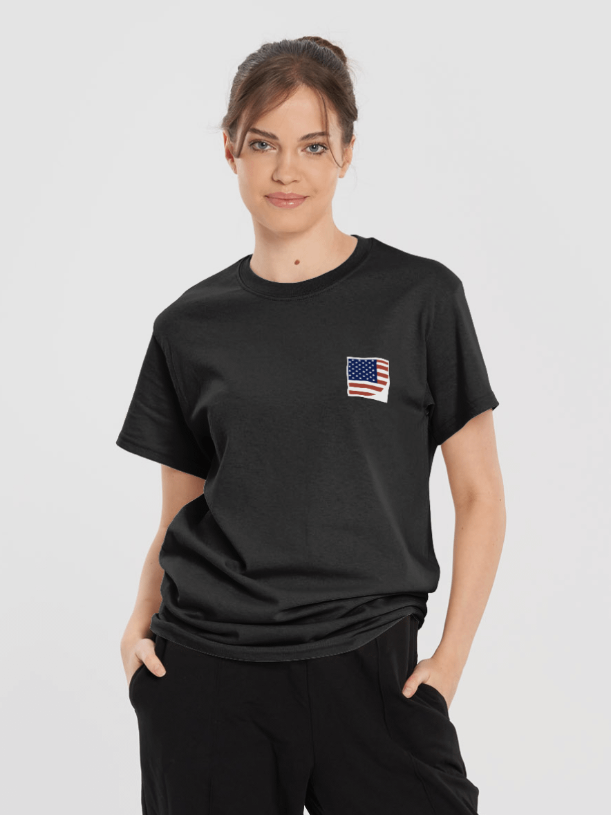 american formulafication official t-shirt - 100% cotton product image (1)