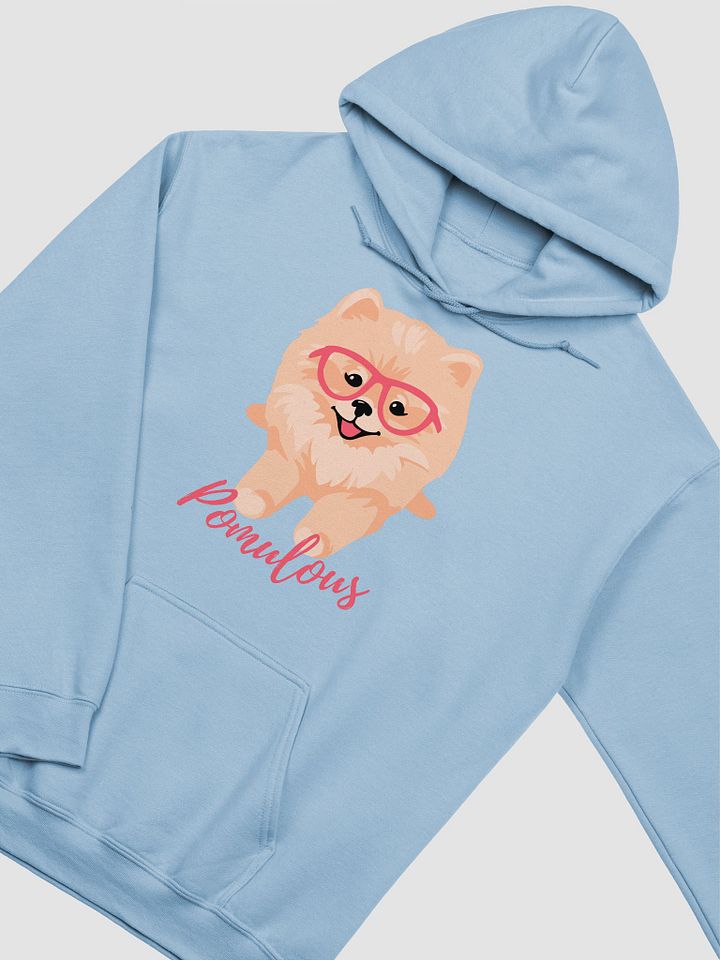 Fabulous Pomeranian Classic Hoodie product image (19)