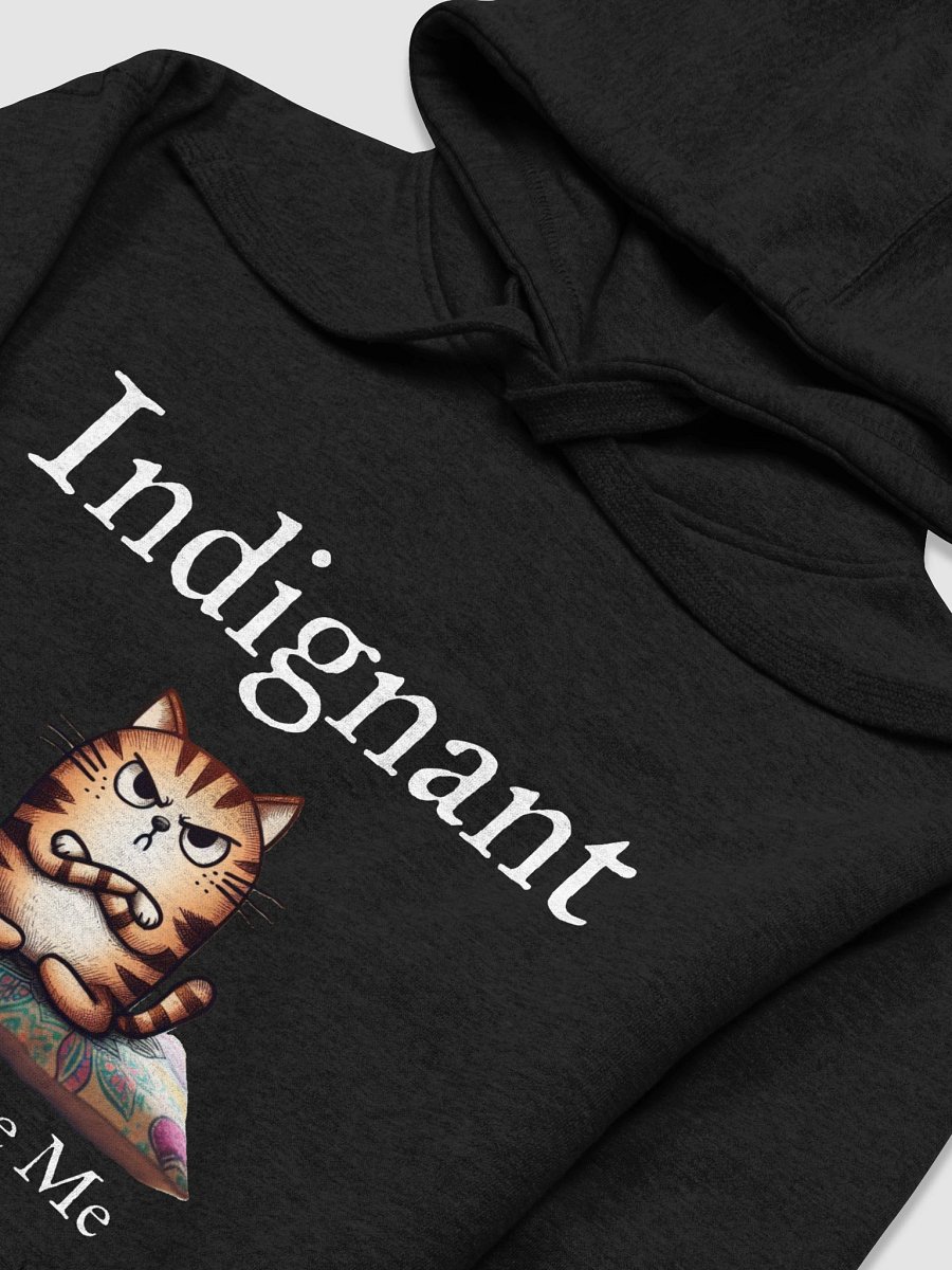 Indignant Hoodie product image (16)