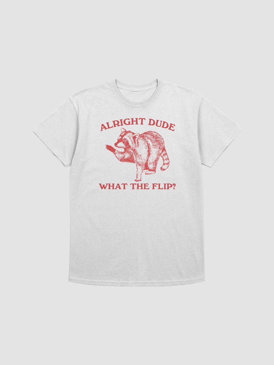 Alright dude what the flip raccoon product image (1)