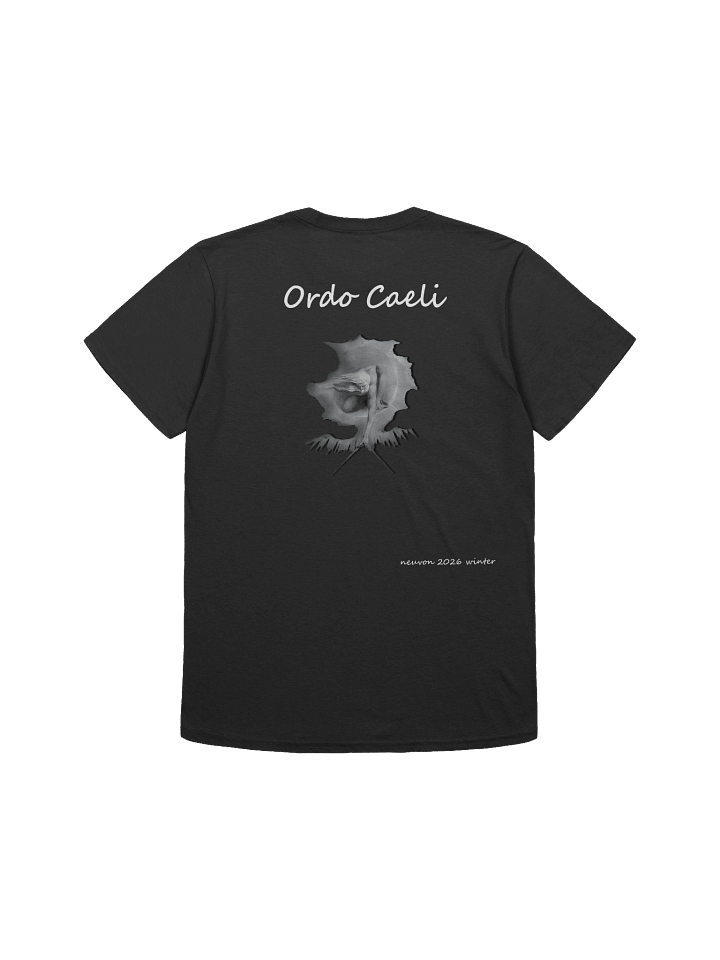 Ordo Caeli Softstyle T-Shirt - Winter 2026 product image (2)