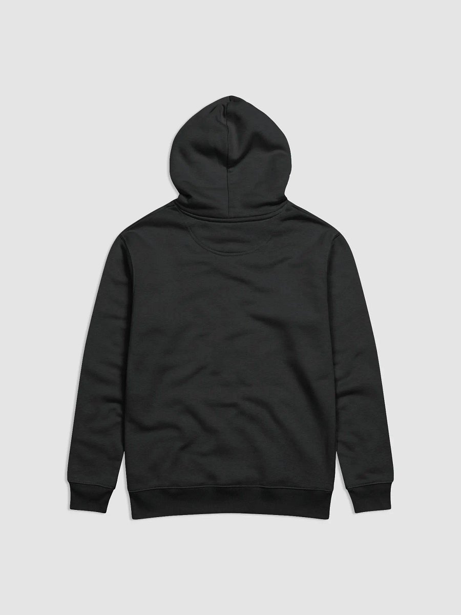 Ronin unixex hoodie (new logo) product image (2)