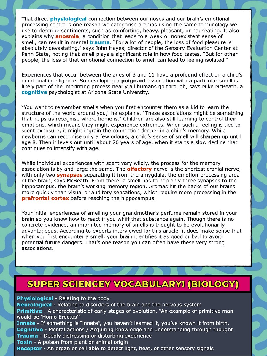 IELTS Success! Academic Vocabulary & Reading product image (9)