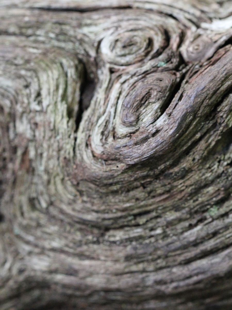Abstract Image Collection product image (11)