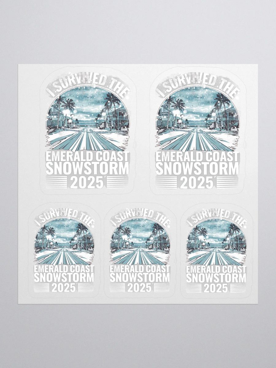 I Survived the Emerald Coast Snowstorm 2025 Sticker Set product image (1)