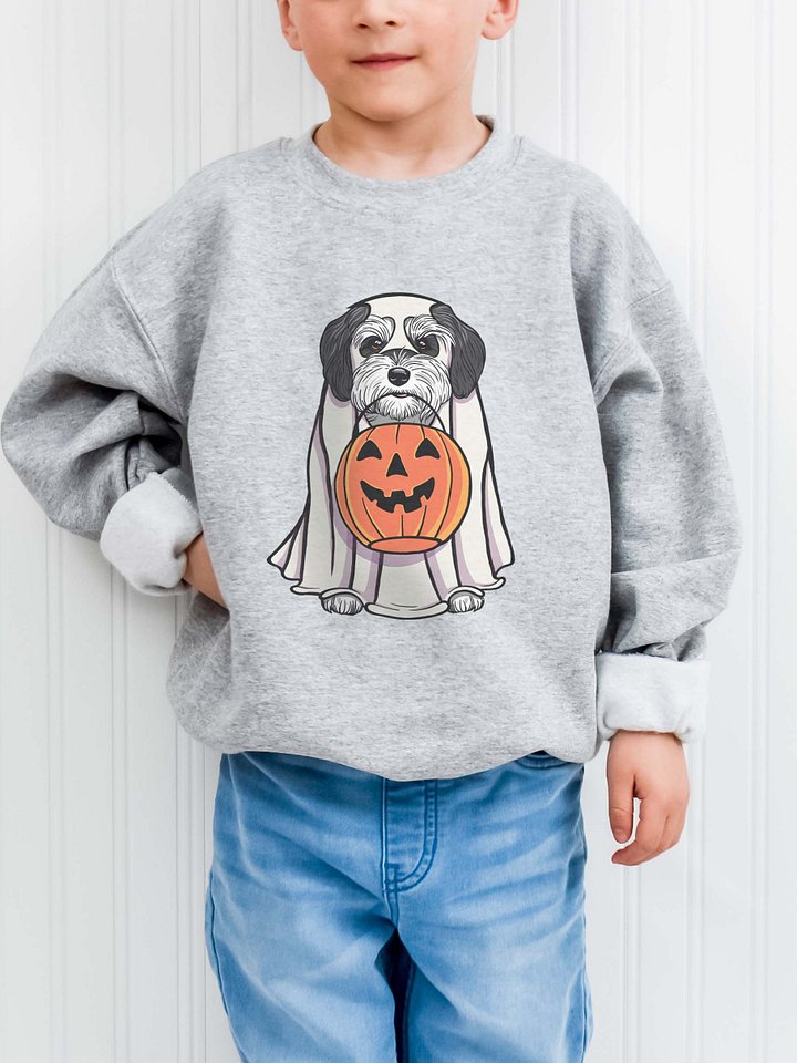 Halloween Havanese(Black & White) Youth Sweatshirt product image (1)