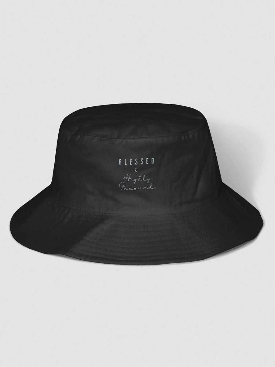 Divinely Blessed and Highly Favored product image (1)