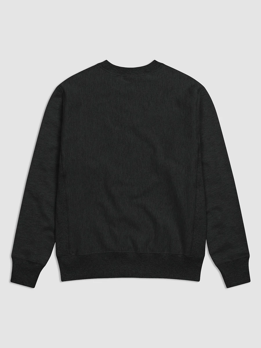 'Galactic' Champion Cotton Max Sweatshirt product image (2)