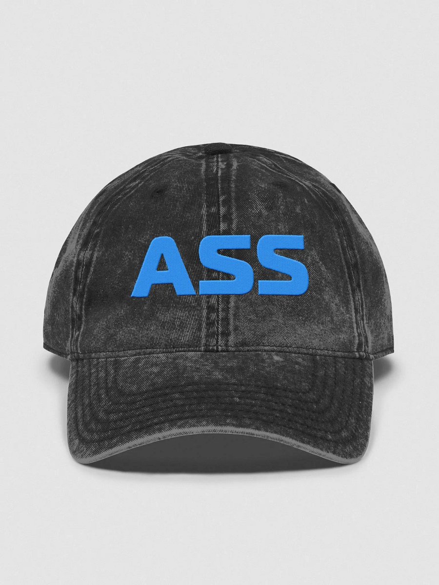Your Vintage Ass Hat product image (4)