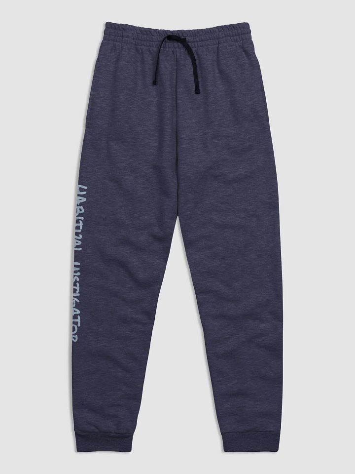HABITUAL INSTIGATOR (sky long-line design) printed joggers product image (13)