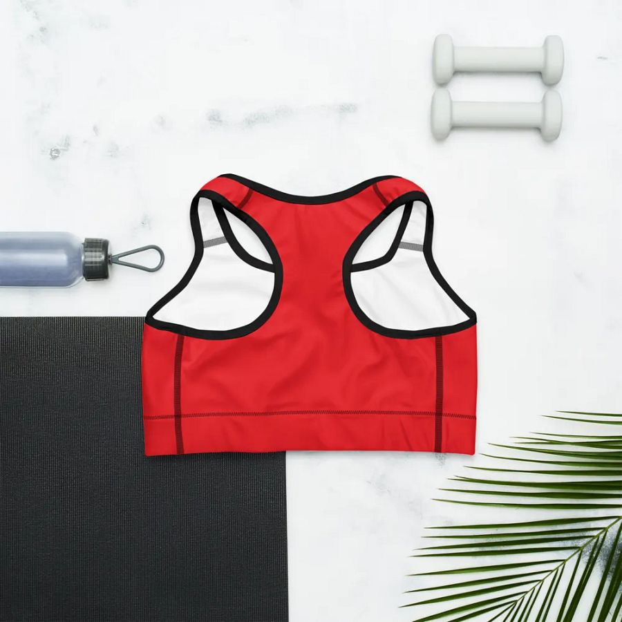 Bunny Sports Bra product image (9)