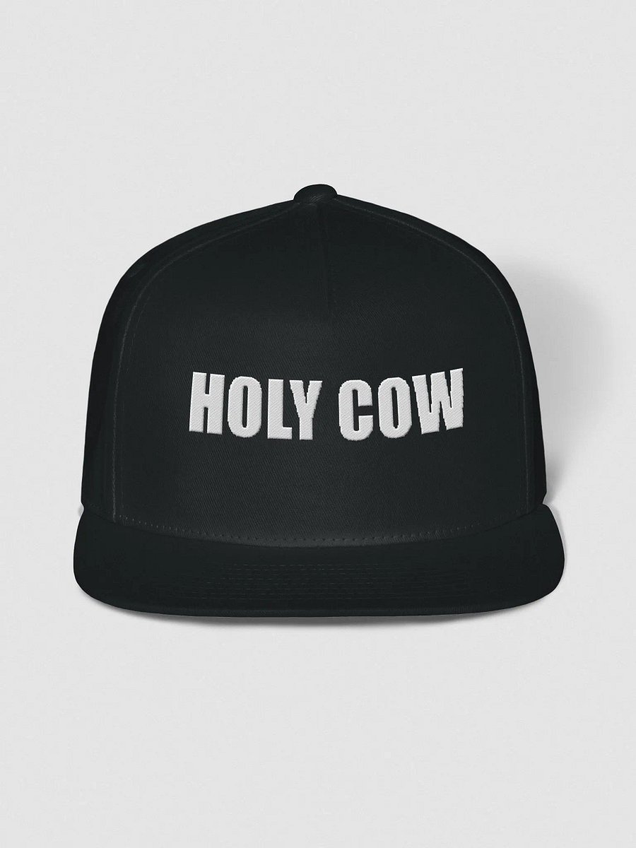 Holycow new cap product image (1)