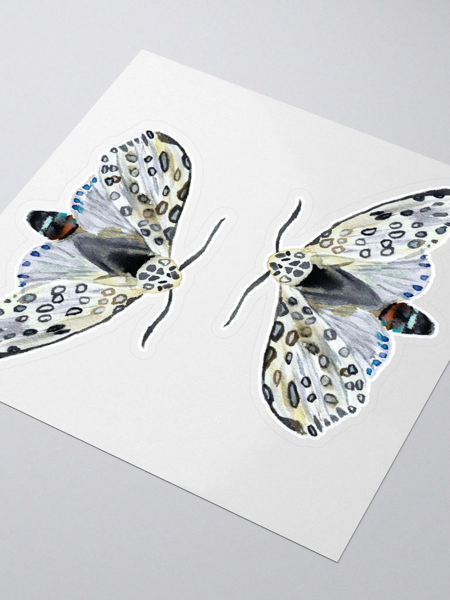Giant Leopard Moth Sticker (x2) product image (3)