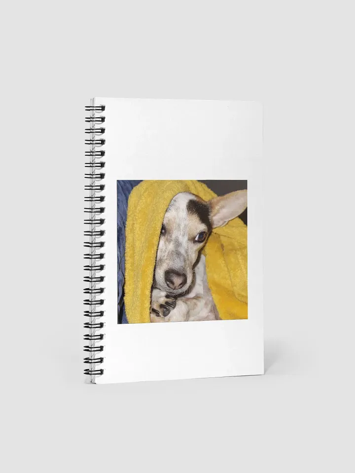 Bronx Notepad product image (1)
