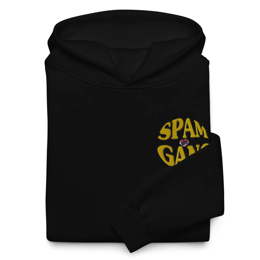 Spam Gang Premium Oversized Hoodie product image (10)