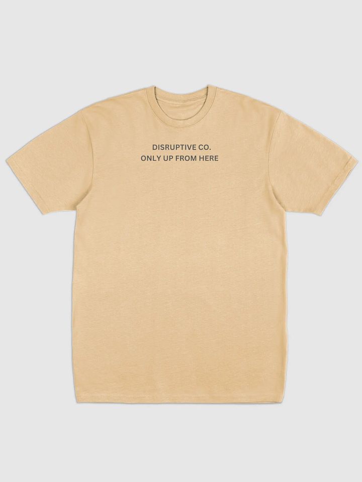 NEVER COMING DOWN product image (22)