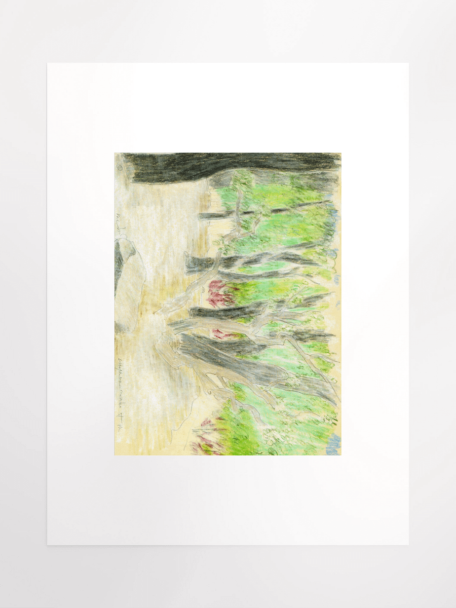 Cuyamaya Canyon State Park, CA 09.16.86 print product image (2)