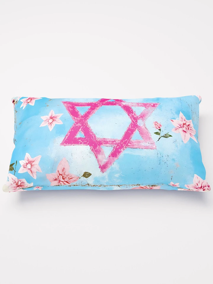 Pink Star of David Pillow with Floral Shabby Chic product image (2)