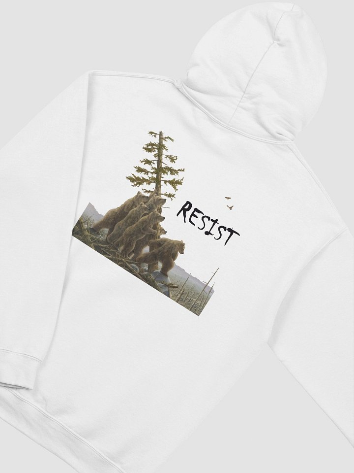 BEARS RESIST! Our Parks Pullover Hoodie Alt National Parks Gear product image (13)