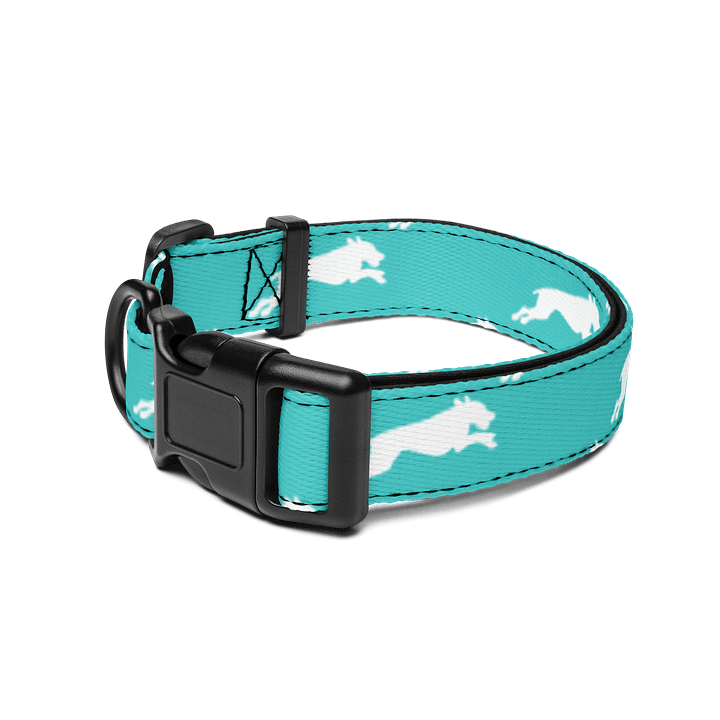 Mint Teal Collar product image (2)