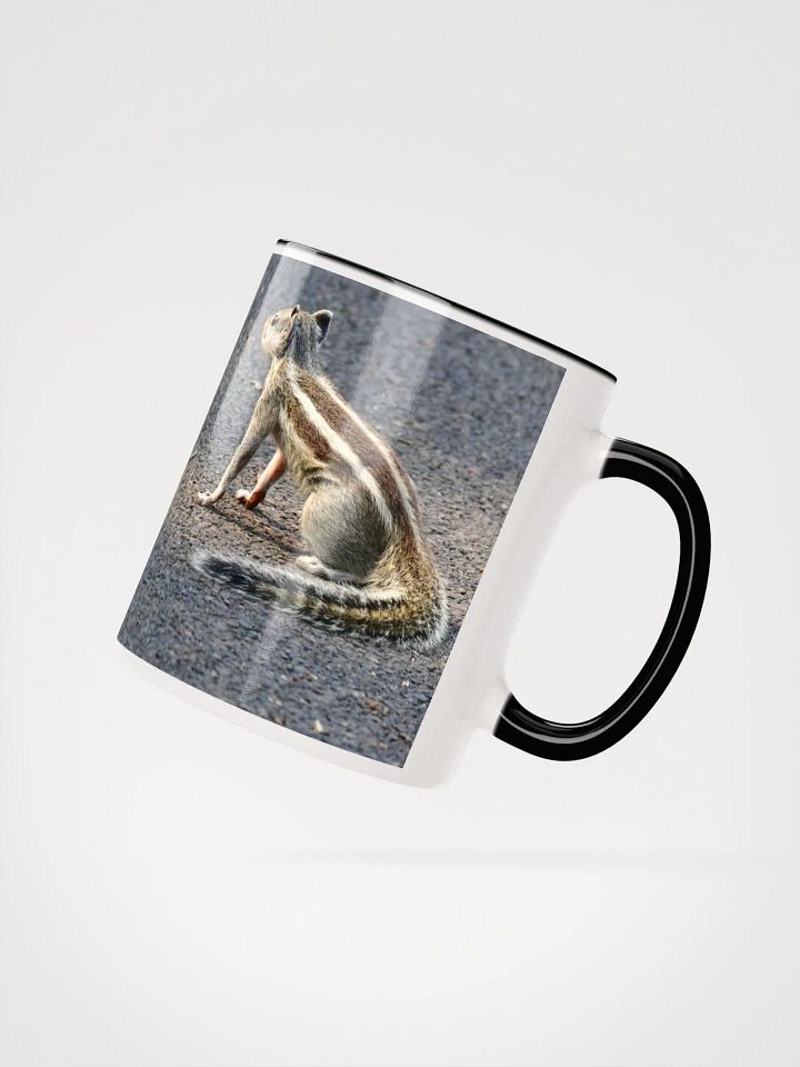 IUCAA Birds MUG product image (2)