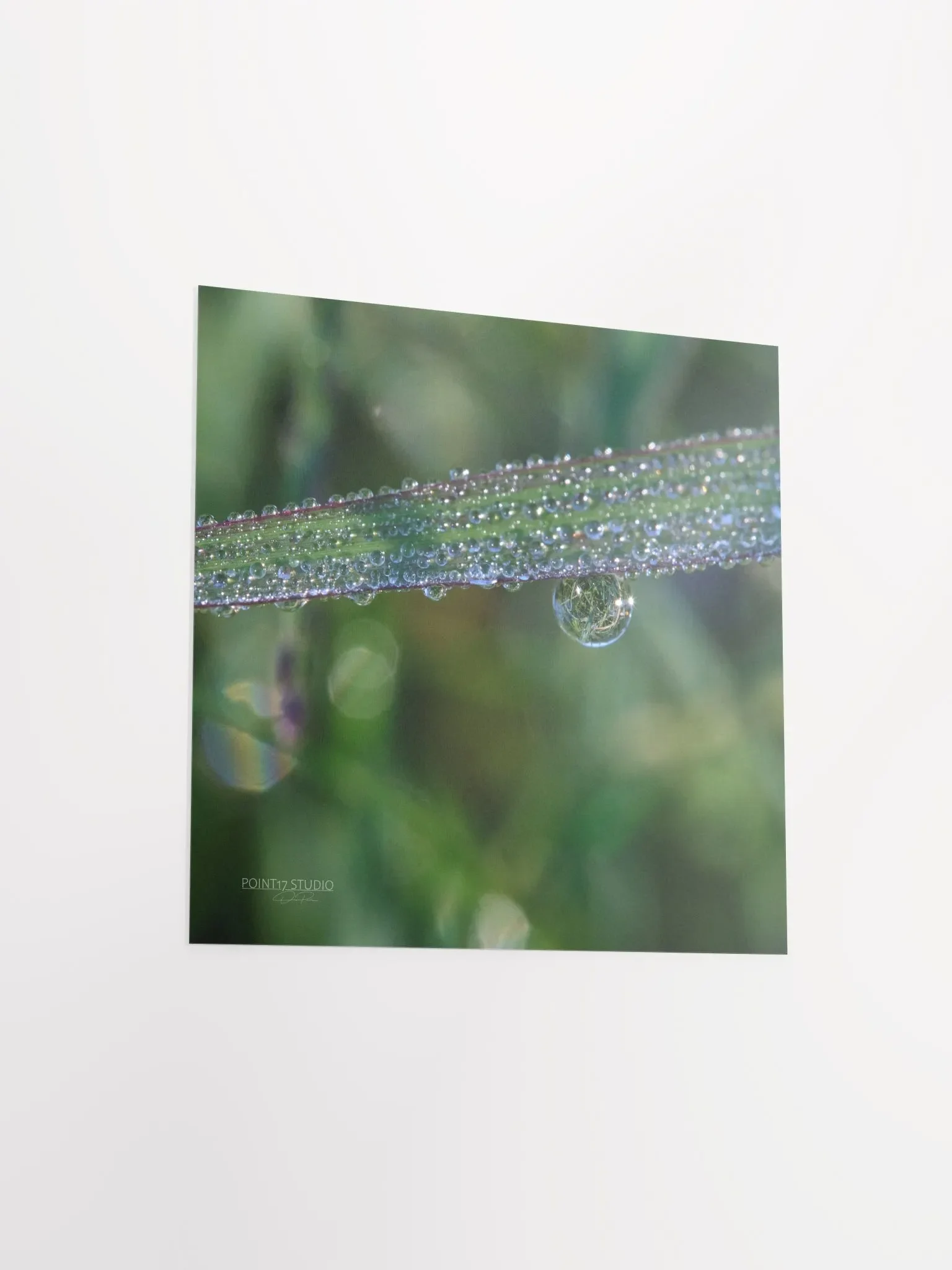 Dew Gems #3 - Print product image (9)