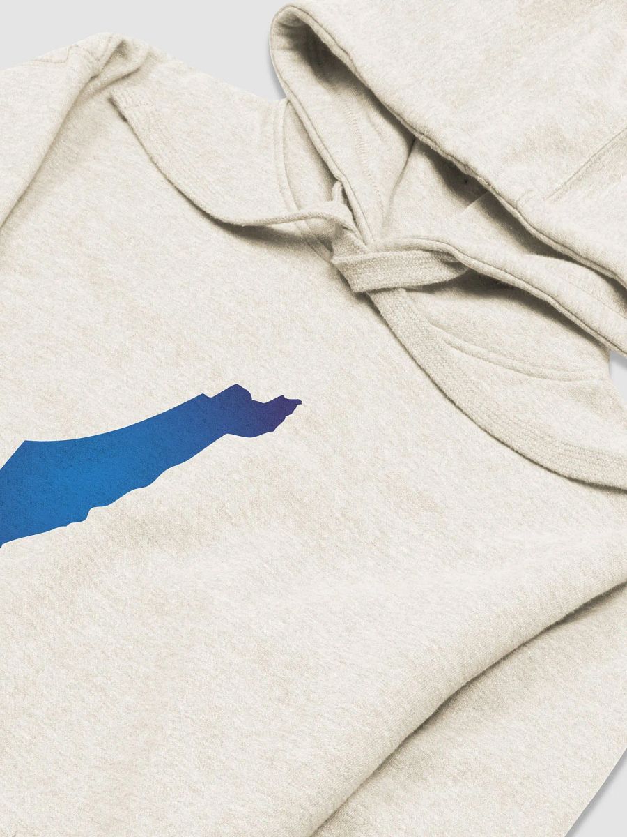 AM YISRAEL CHAI Premium Hoodie product image (6)