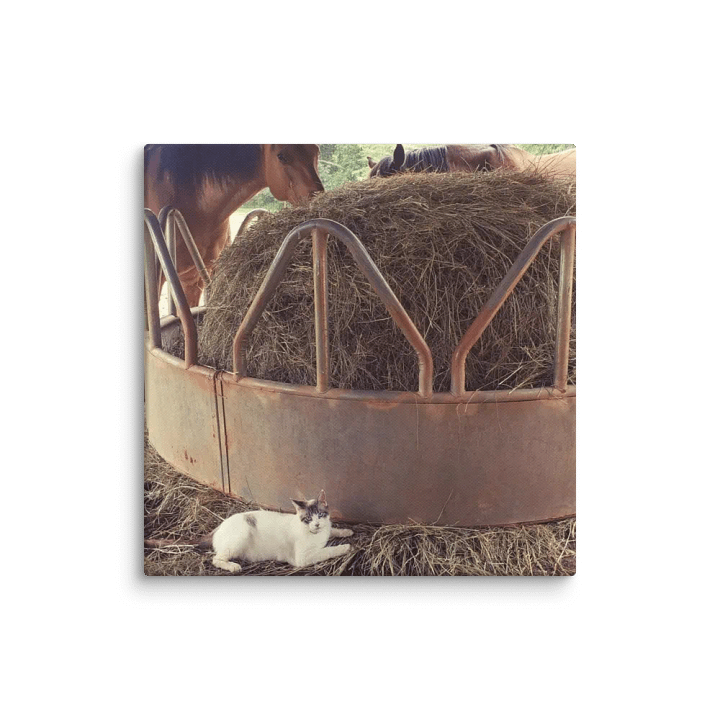 Rustic Farmyard Canvas Collection product image (1)