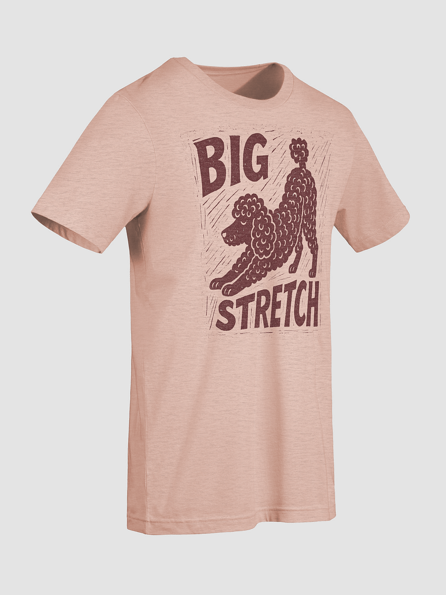 Big Stretch T-shirt product image (9)