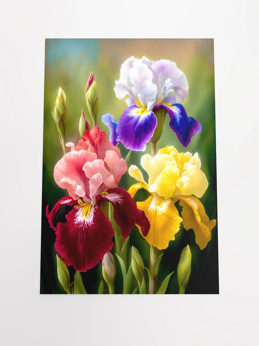 Vibrant Bearded Iris Trio - Lush Floral Garden Art Print Matte Poster product image (3)