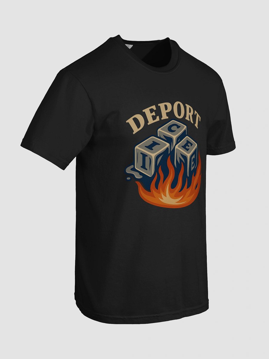 Melting ICE Flames T-Shirt product image (36)