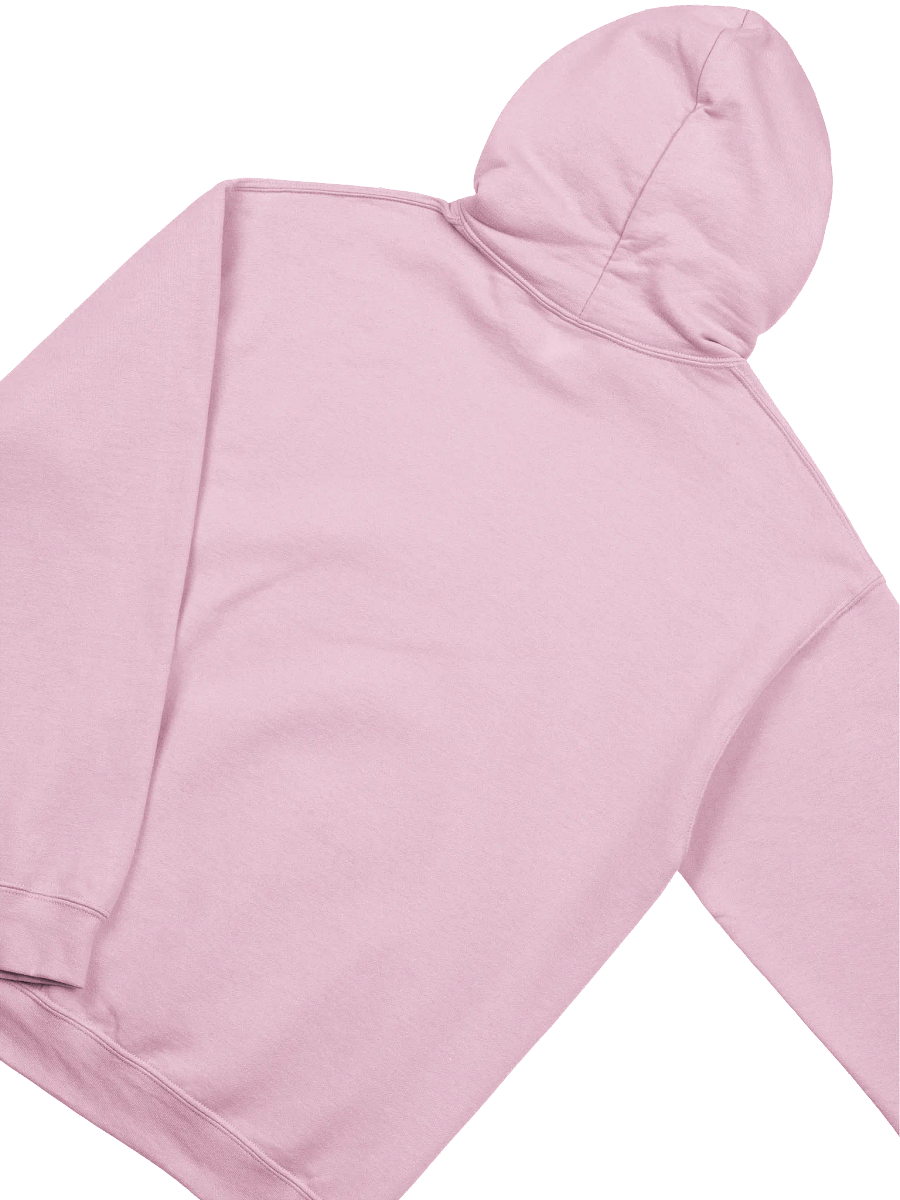 Rynz Hoodie 2.0 product image (3)
