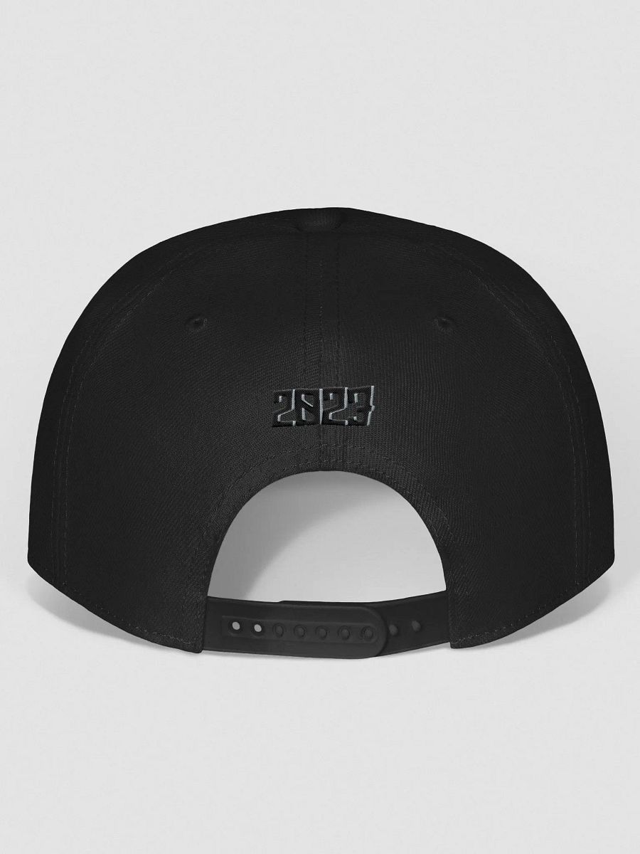 Snapback product image (4)