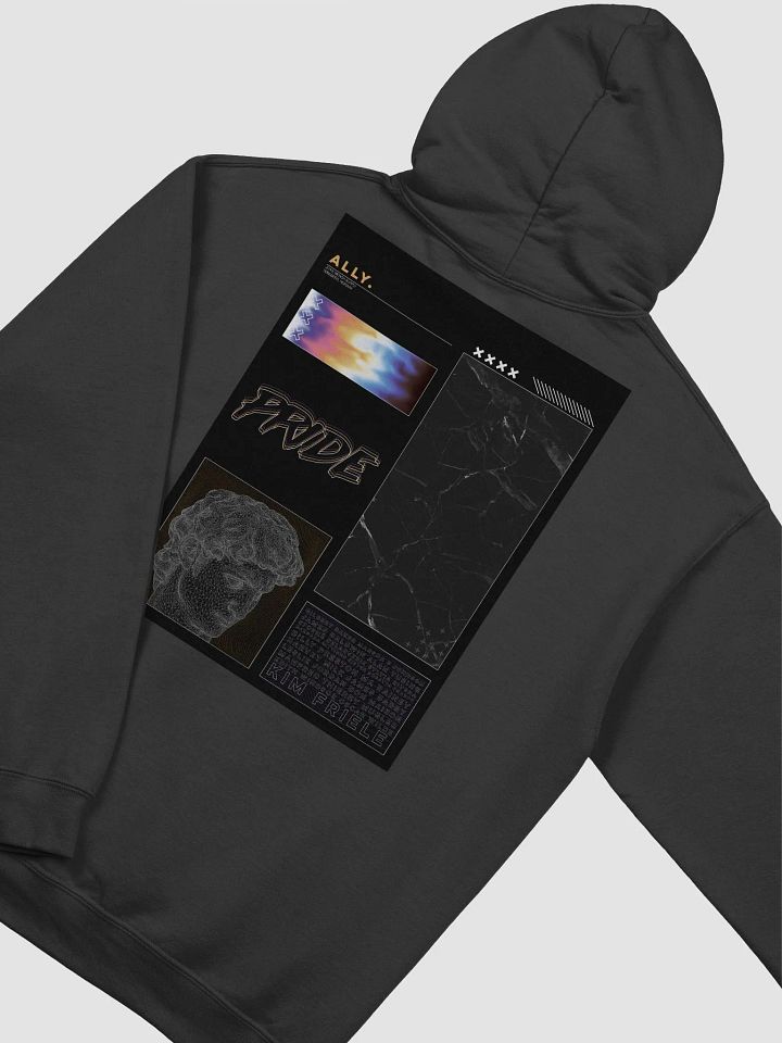Alternative Straight Ally Pride Hoodie product image (2)