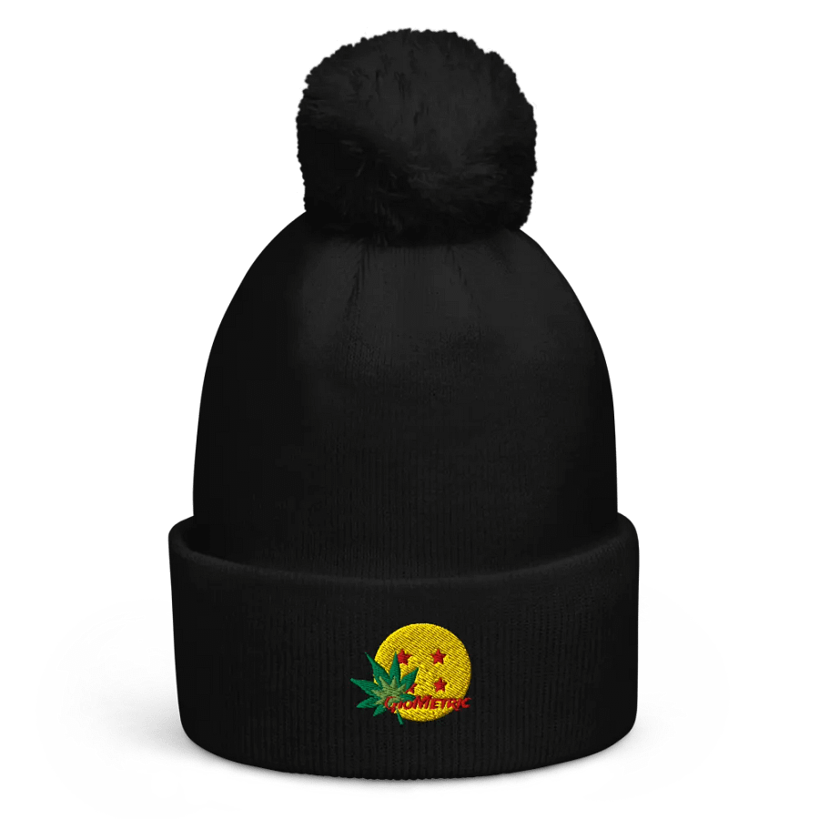 GioMetric Logo Pompom Beanie product image (1)