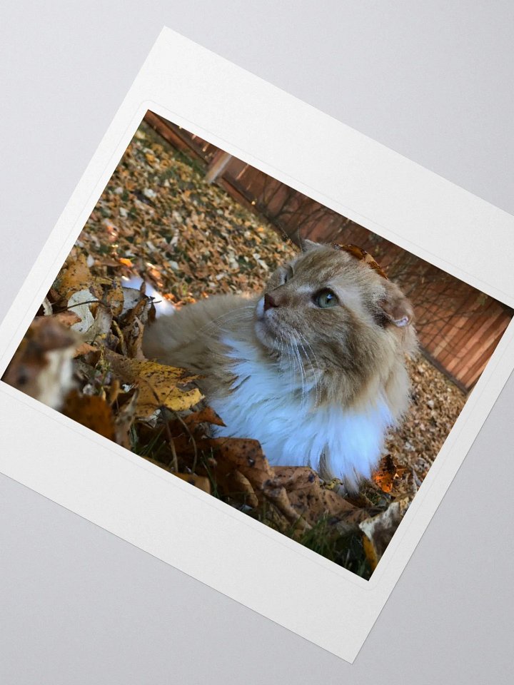 Autumn Boy Sticker product image (2)