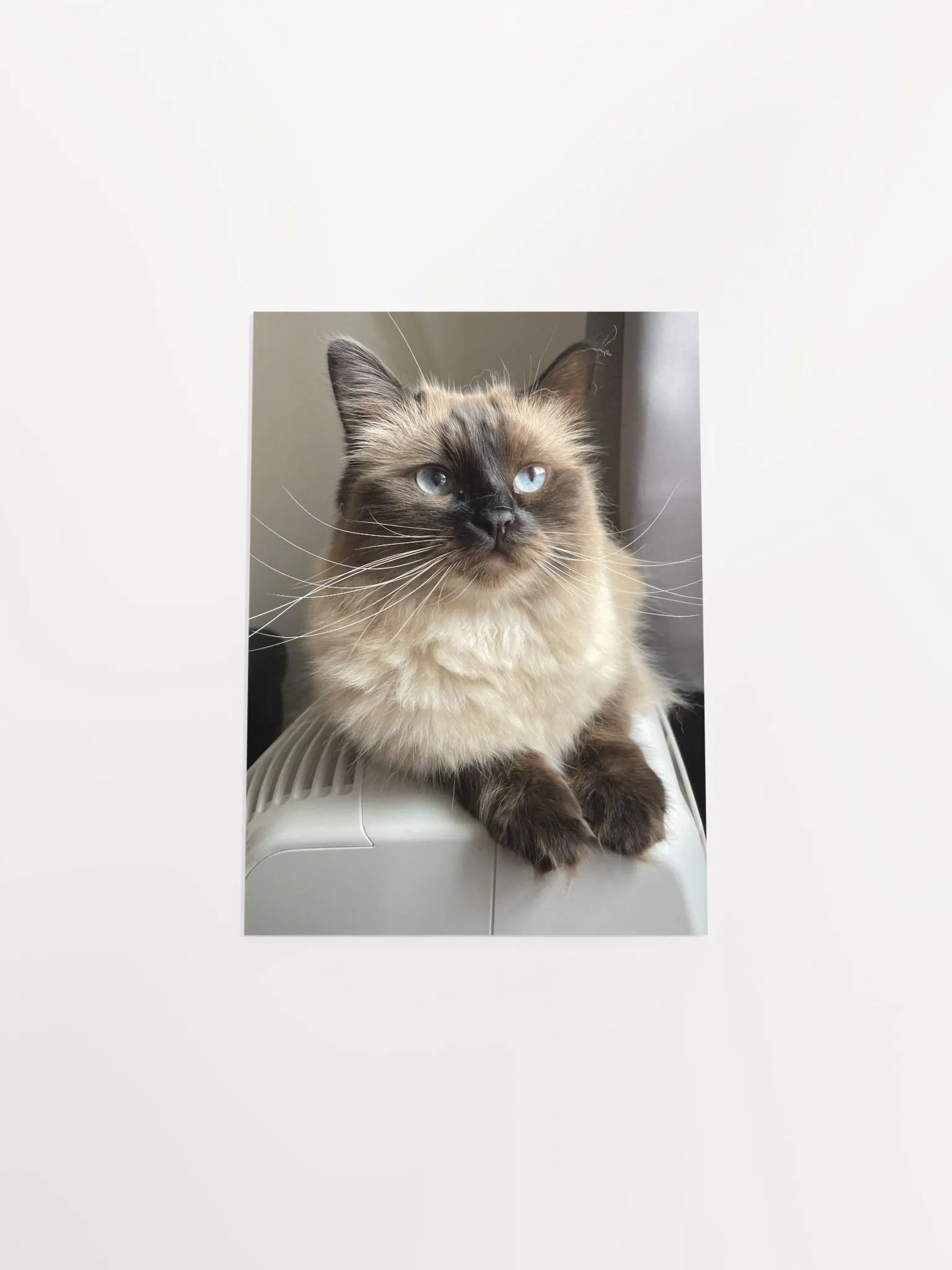 Lilith Poster product image (4)