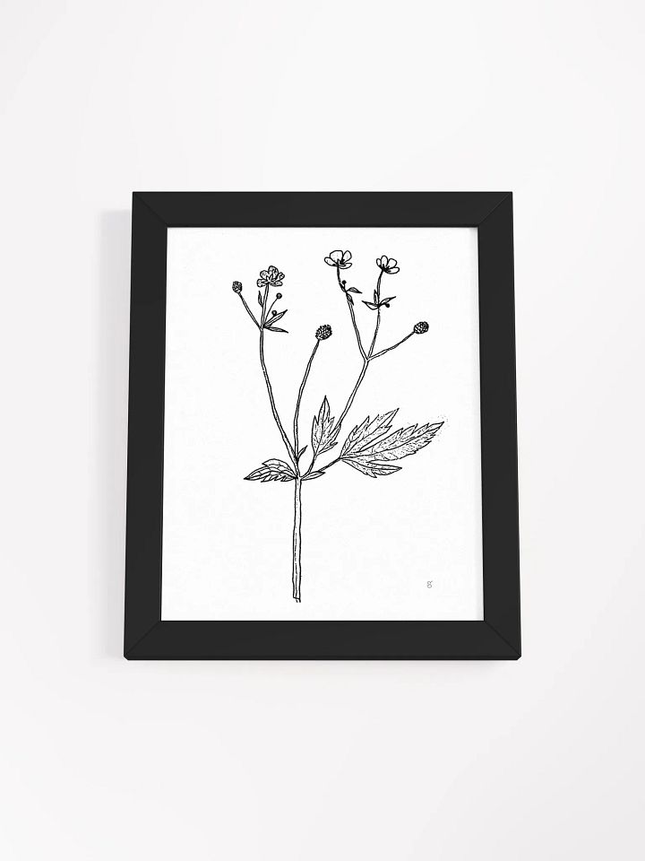 Botanical Bliss Framed Matte Poster - Wild Flowers product image (1)
